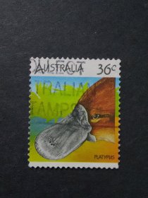 澳大利亚邮票 1986年动物 1枚销