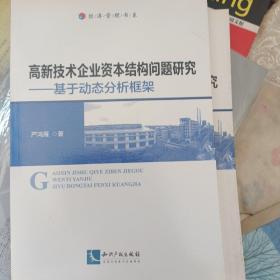 高新技术企业资本结构问题研究——基于动态分析框架