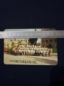 老照片 1985年摄于敦煌县政府大院 敦煌美学会合影