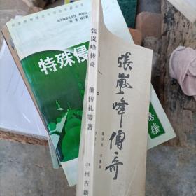 张岚峰传奇