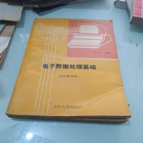 電子數(shù)據(jù)處理基礎(chǔ)（經(jīng)濟(jì)管理類）