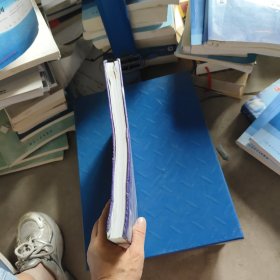 制药行业质量风险管理：实践指南