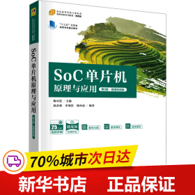 SoC单片机原理与应用（第3版·微课视频版）