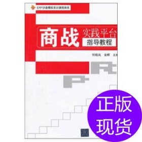 商战实践平台指导教程何晓岚，金晖 编9787302289630清华大学出版社