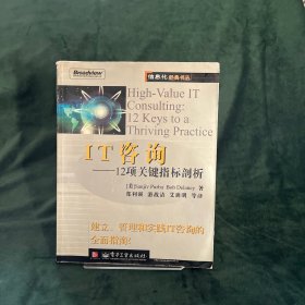 IT咨询：12项关键指标剖析