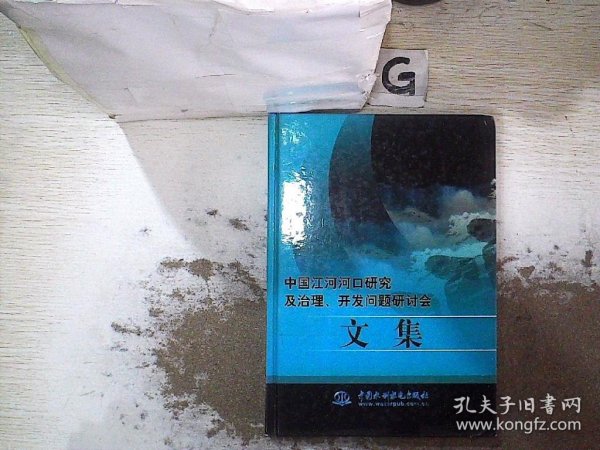 中国江河河口研究及治理、开发问题研讨会文集（精装）