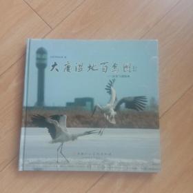 大庆湿地百鸟图:张亚飞摄影集(签名本)