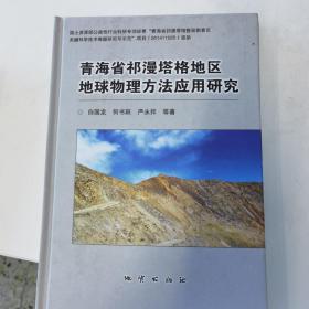 青海省祁漫塔格地区地球物理方法应用研究