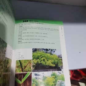 园林设计树种手册