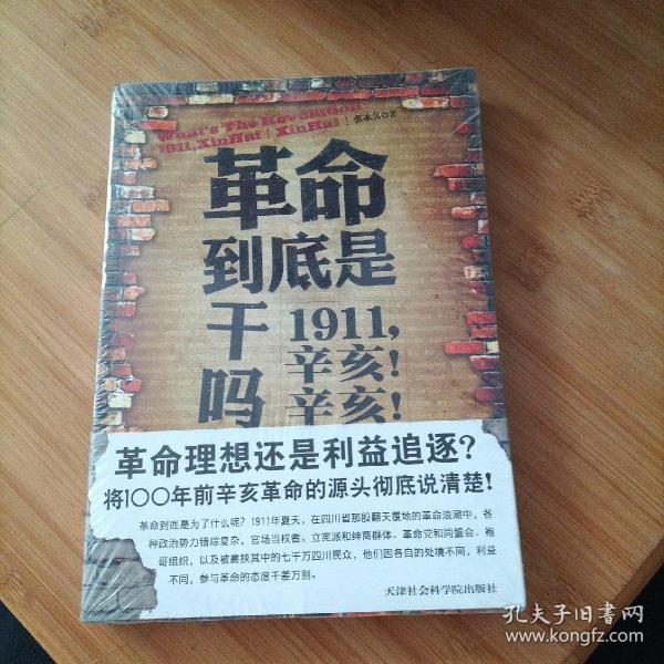 革命到底是干吗？：1911，辛亥！辛亥！