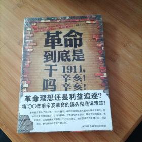 革命到底是干吗？：1911，辛亥！辛亥！