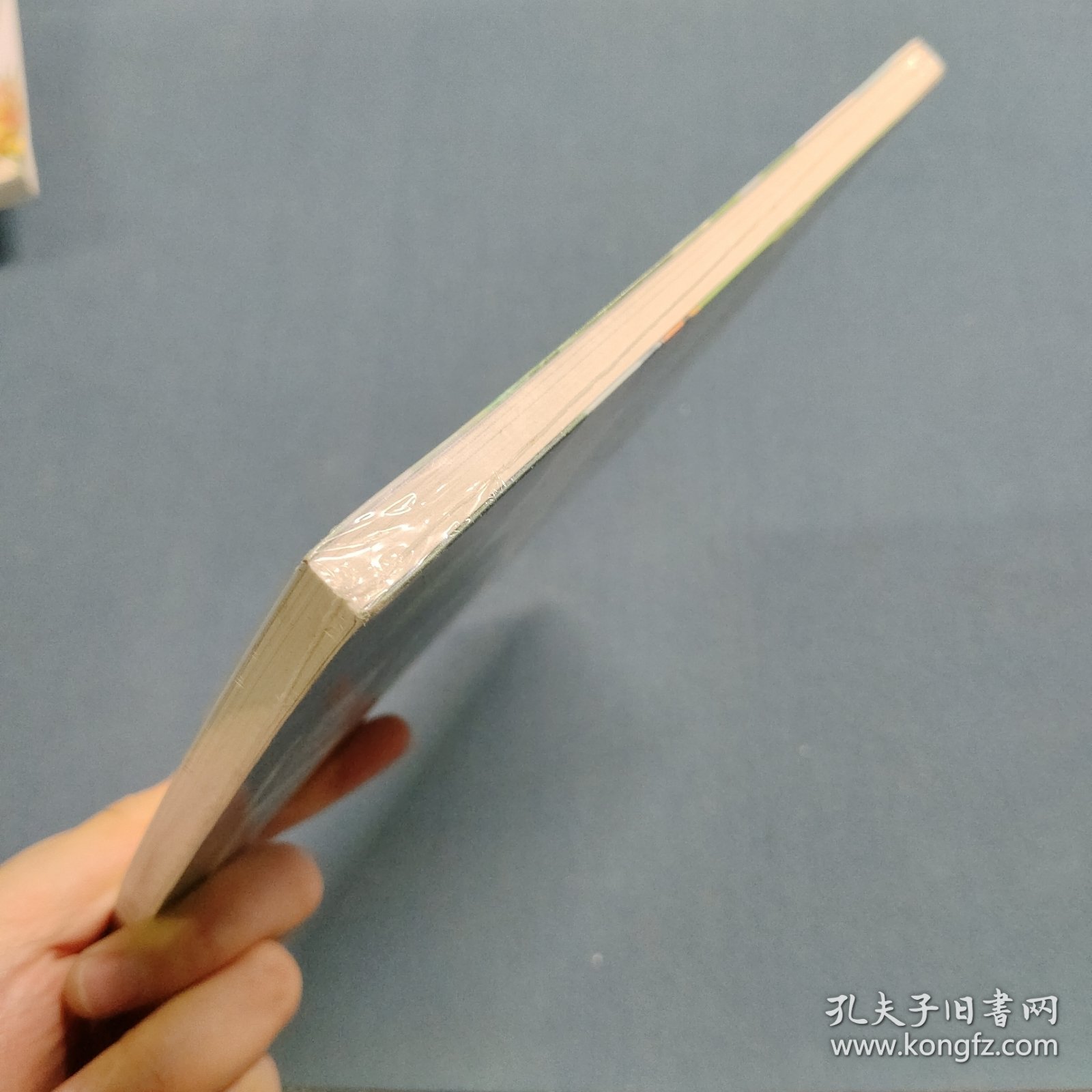 羊儿在云朵里跑
