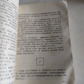 西地平线