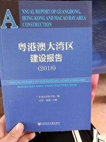 粤港澳大湾区建设报告（2018）