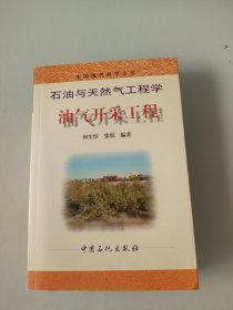 油气开采工程——中国现代科学全书石油与天然气工程学