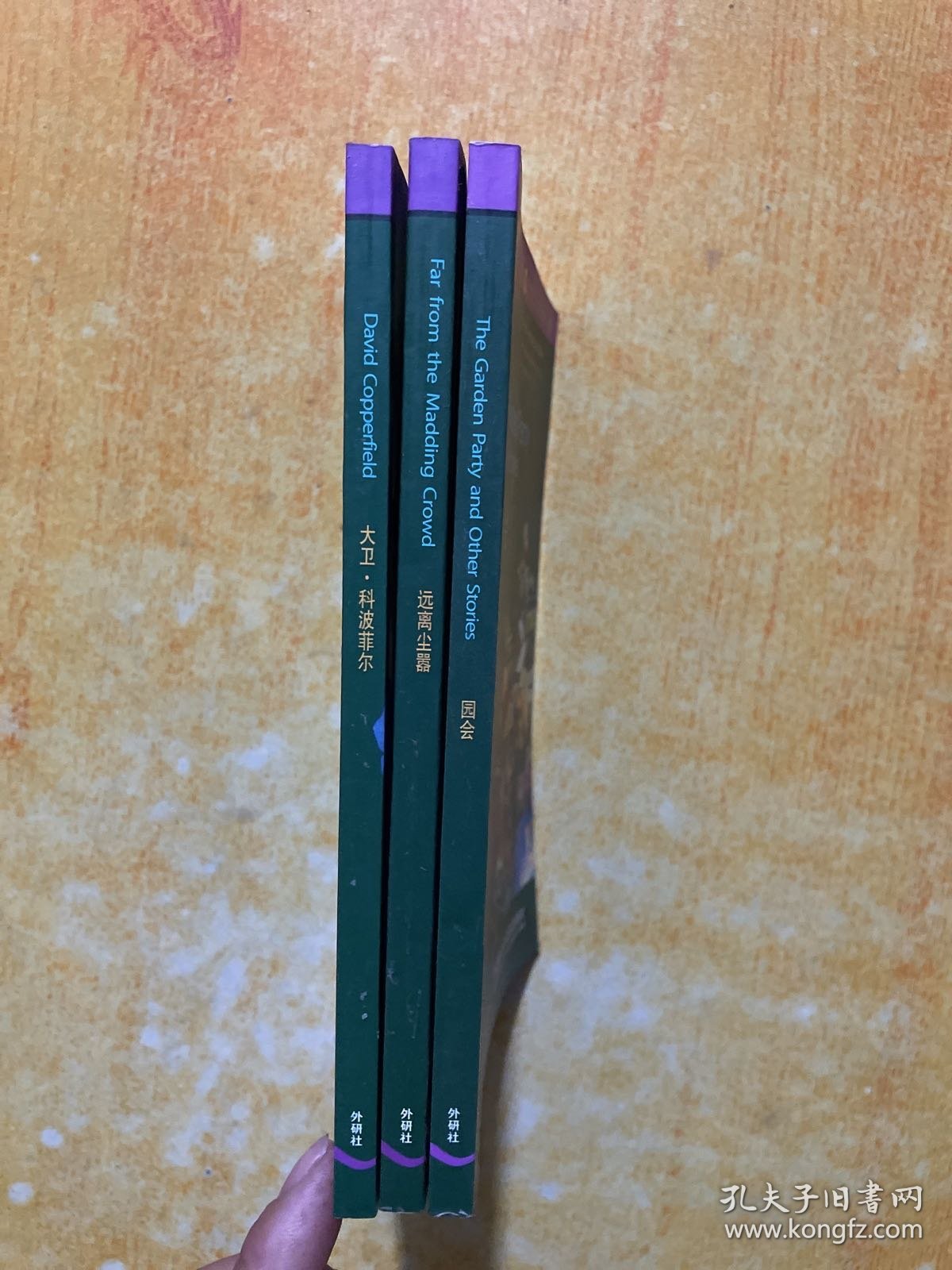 大卫. 科波菲尔+远离尘器+园会（合3本）
