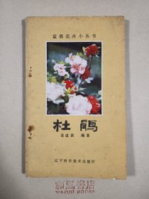 《杜鹃》