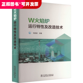 火焰爐運(yùn)行特性及改造技術(shù)（精裝）