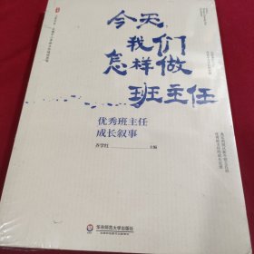 大夏书系·今天，我们怎样做班主任：优秀班主任成长叙事