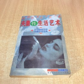 夫妻性生活艺术