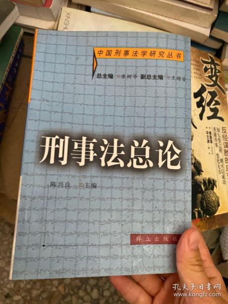 刑事法总论——中国刑事法学研究丛书