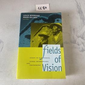 Fields of vision