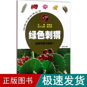 绿色刺猬——植物天堂大揭秘一