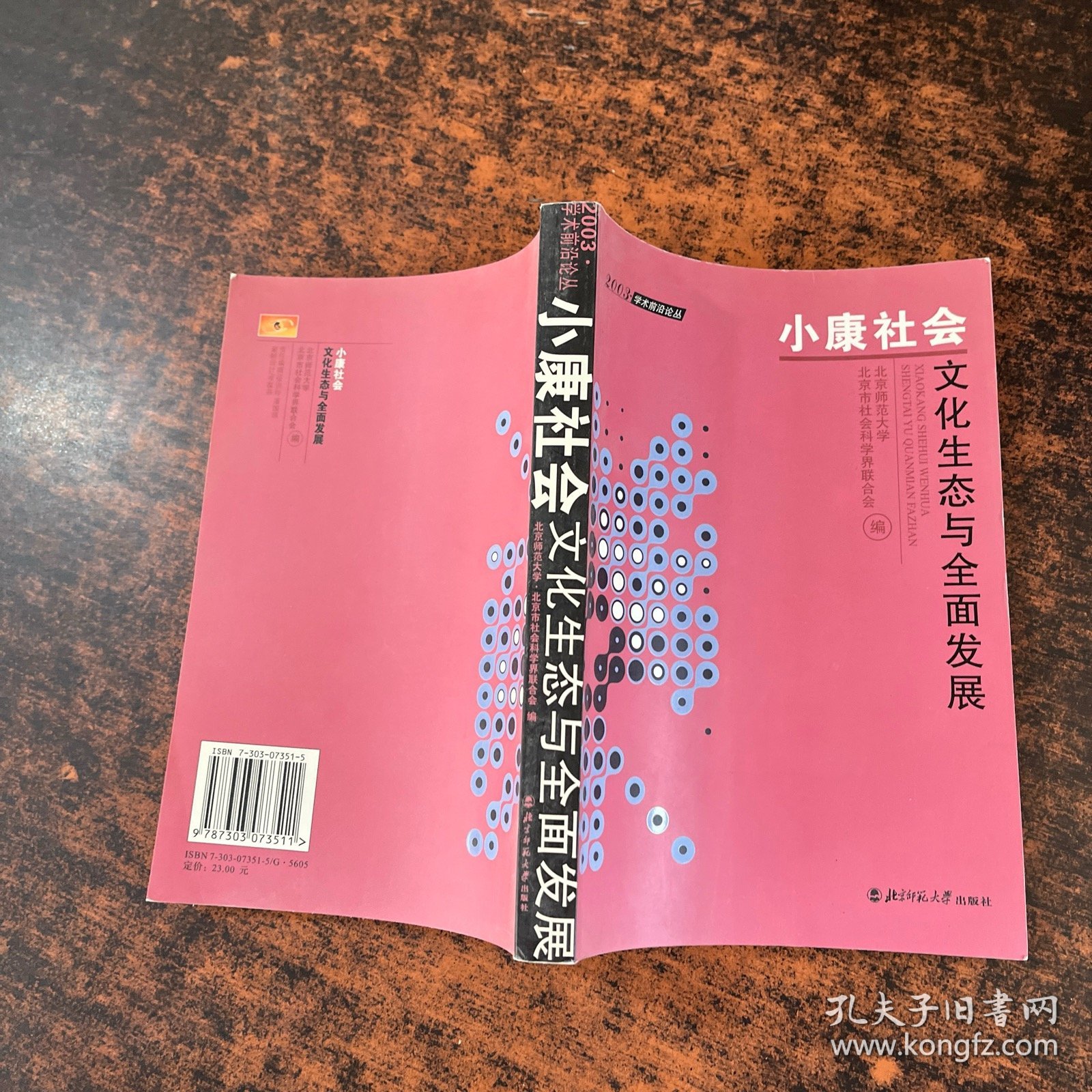 小康社会:文化生态与全面发展