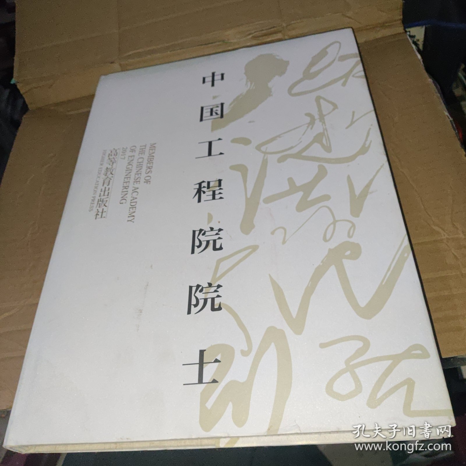 中国工程院院士（13）