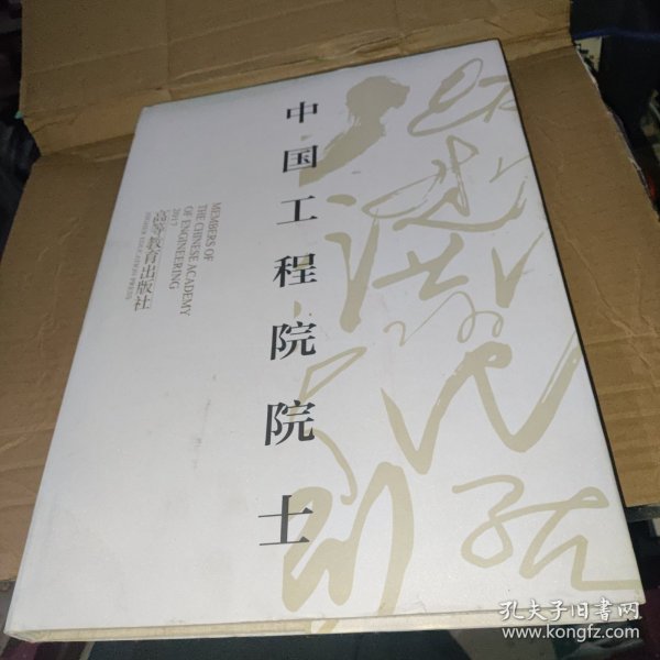 中国工程院院士（13）