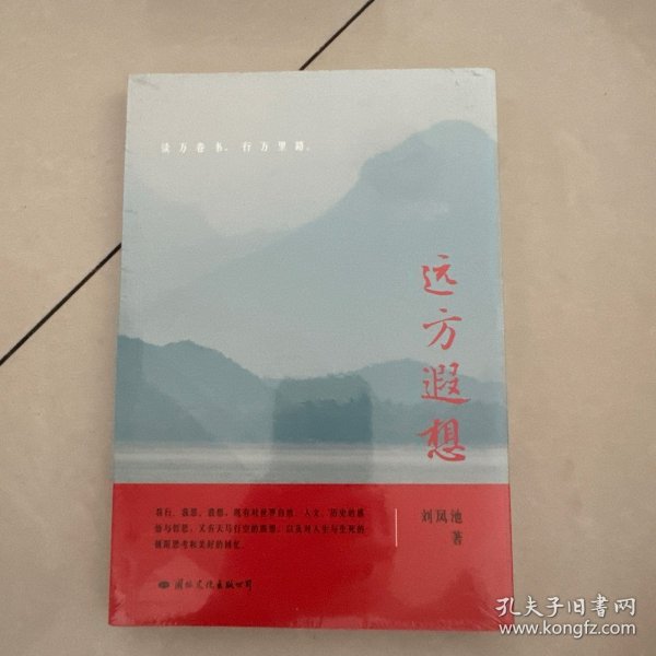 远方遐想