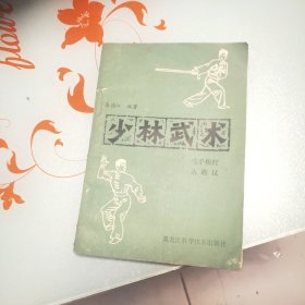 少林武术 连手短打 达磨杖