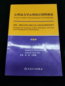 心理动力学心理治疗简明指南：短程、间断和长程心理动力学心理治疗的原则和技术