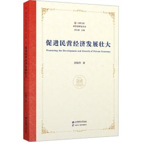 促进民营经济发展壮大