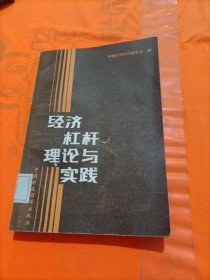 经济杠杆理论与实践