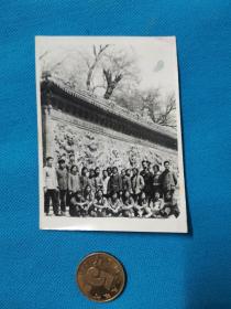 老照片   北京  北海公园  留念   九龙壁  1959年5月拍摄  1960年2月放大
