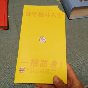 徒手格斗大全