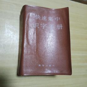 快速集中识字手册