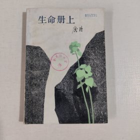 生命册上