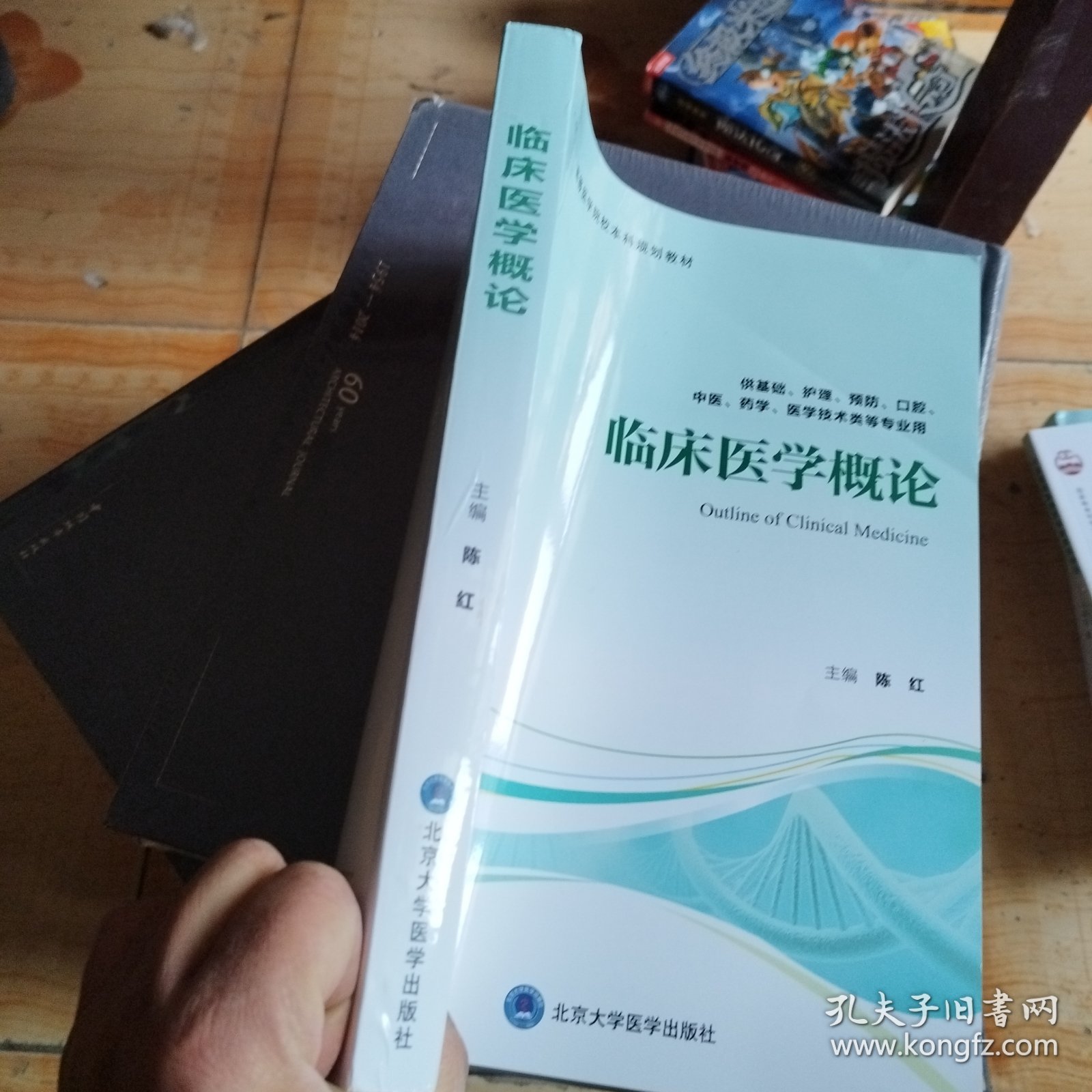 临床医学概论（供基础、护理、预防、口腔、中医、药学、医学技术类等专业用）