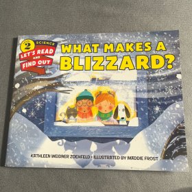 【预订】What Makes a Blizzard?