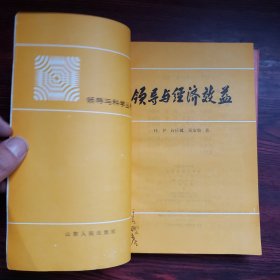 领导与科学丛书：领导与经济效益 领导与战略