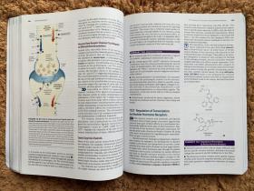 现货 Lehninger Principles of Biochemistry  英文原版  生物化学原理 David L. Nelson