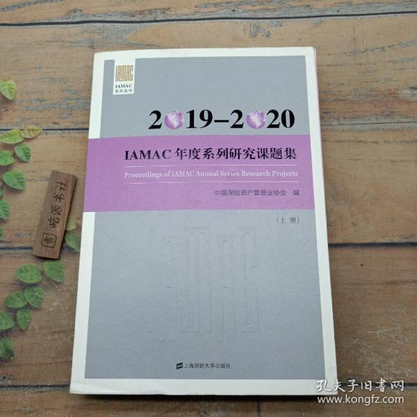 2019-2020IAMAC年度系列研究课题集