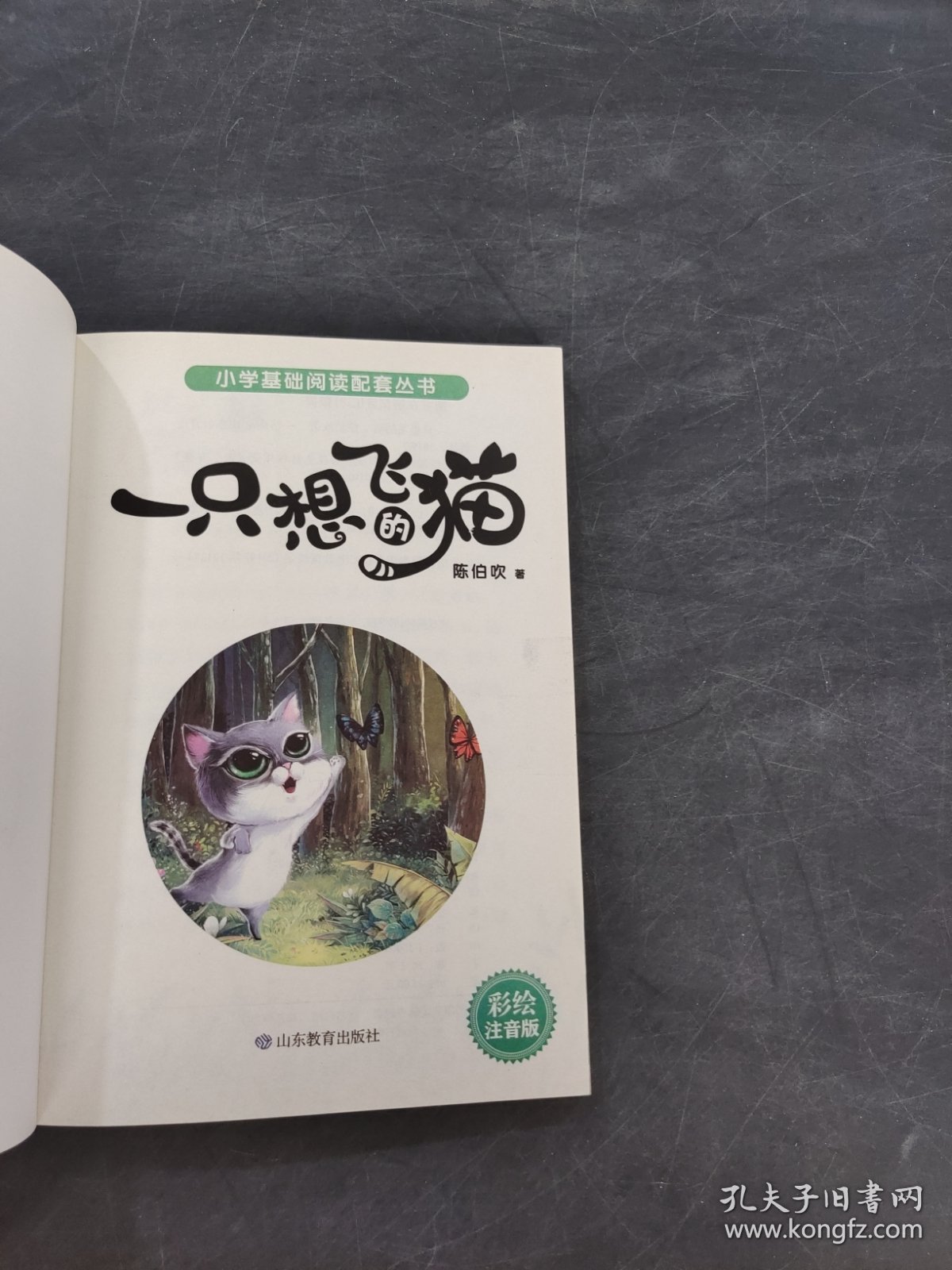 一只想飞的猫