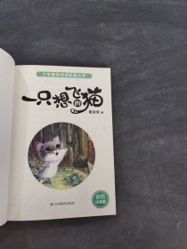 一只想飞的猫