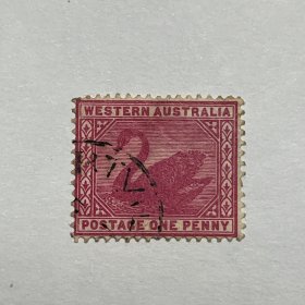 南澳大利亚 1890年《天鹅》玫红色1P旧1枚