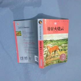 动物小说大王沈石溪·品藏书系：母豺火烧云