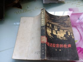 布达拉宫的枪声