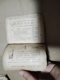 1935年 玲珑妇女图画杂志199号 上海女子游泳会成立，聘请陈璧君任会长 青岛选举茶花 严重缺页 只能看看